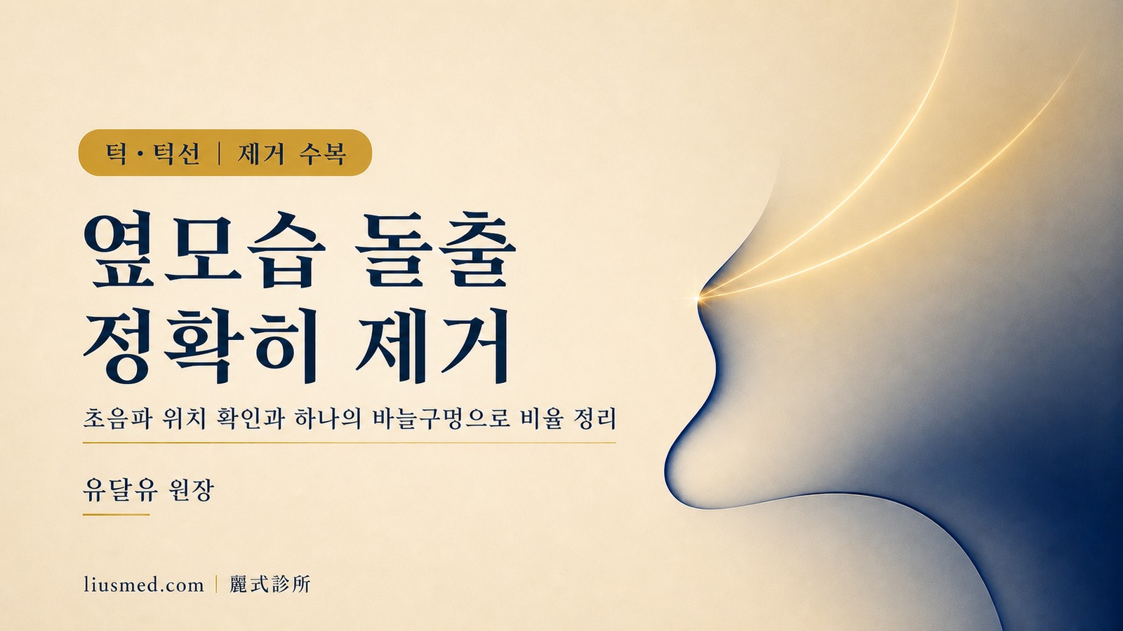 턱·턱선 필러 제거: 초음파로 위치를 보고, 하나의 바늘구멍으로 옆모습 비율을 매끄럽게 정리
