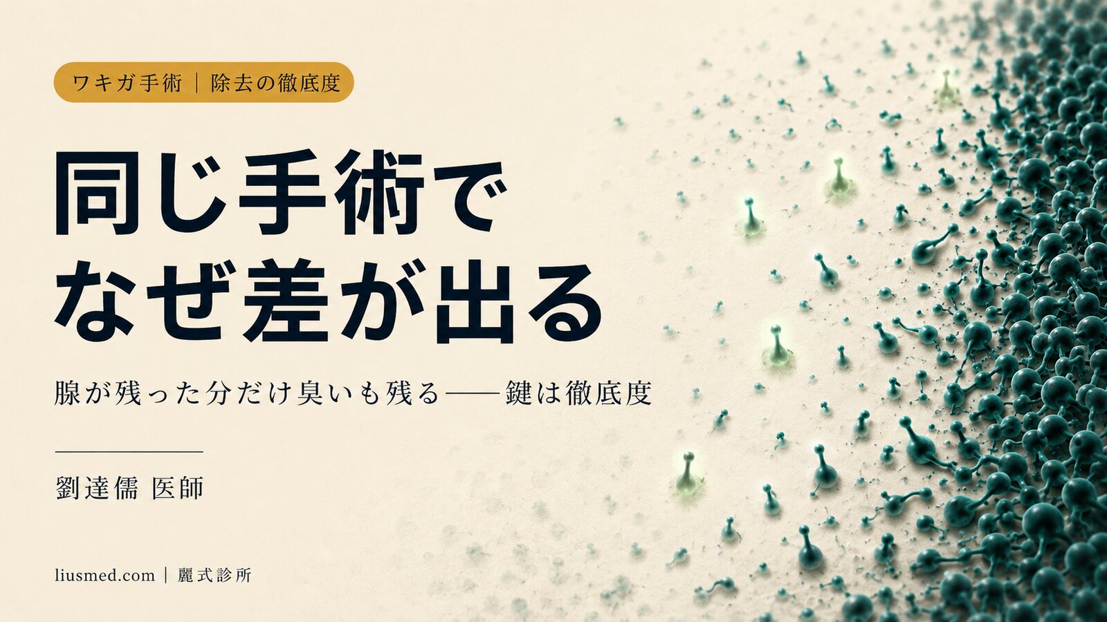 同じワキガ手術なのに、なぜ効果がこれほど違うのか——鍵はアポクリン腺を「どこまで徹底的に除去したか」