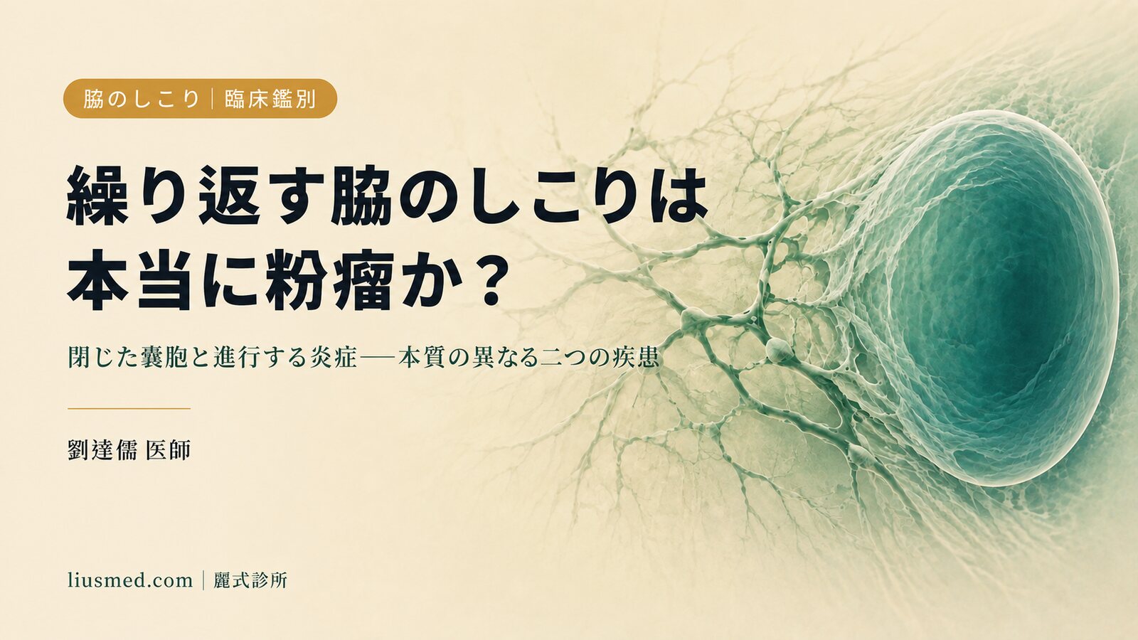 脇のしこりは粉瘤?それとも化膿性汗腺炎?臨床的な見分け方