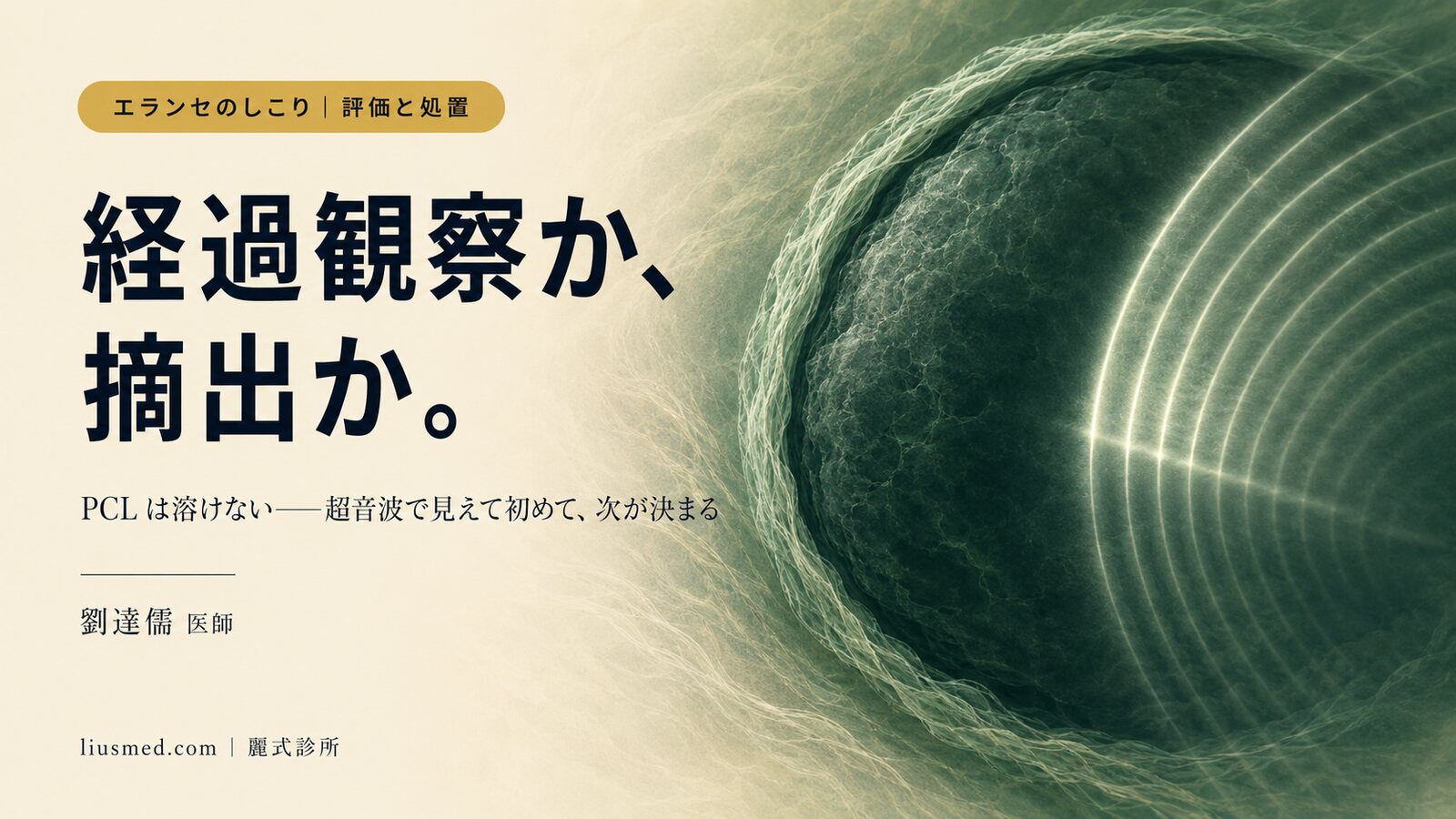 エランセのしこり、どうする?まず超音波で見てから、経過観察か摘出かを決める
