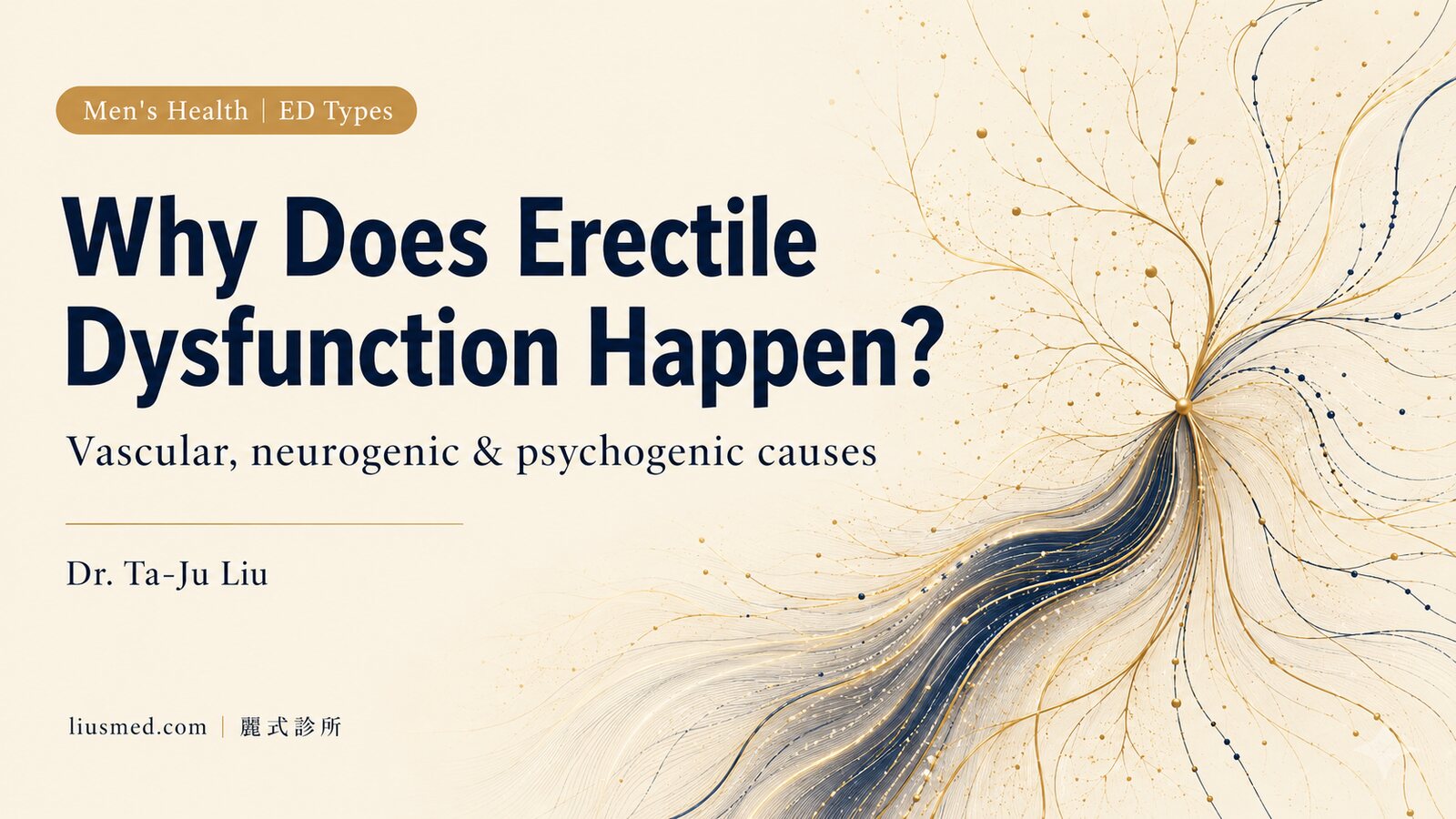 Why Does Erectile Dysfunction Happen? Vascular, Neurogenic, and Psychogenic Causes and Types Explained