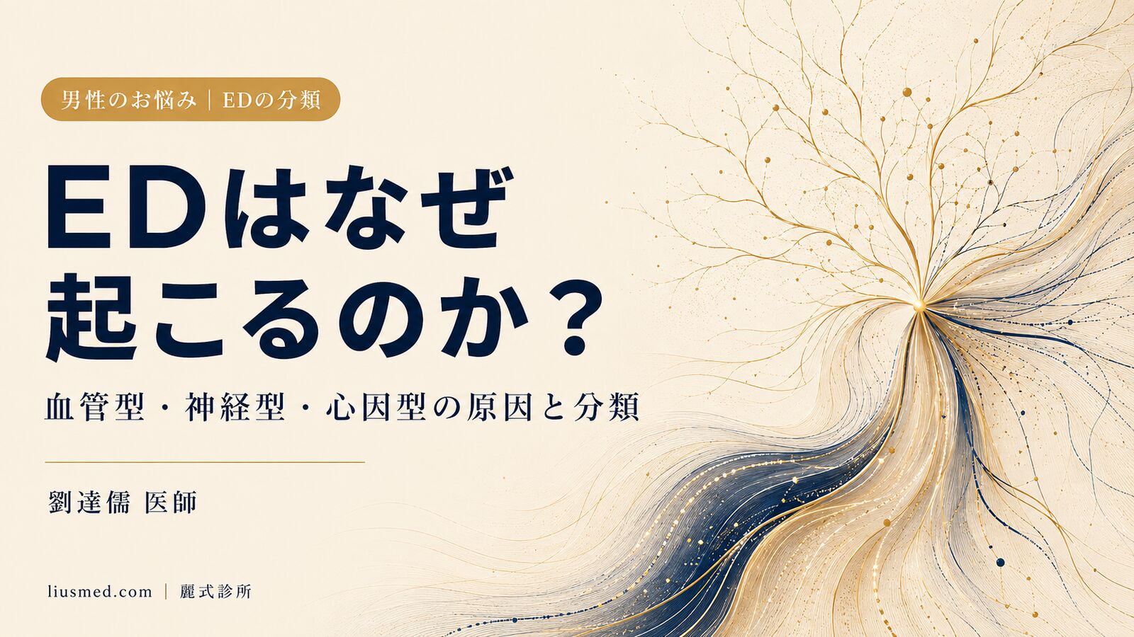勃起不全(ED)はなぜ起こる?血管型・神経型・心因型の原因と分類を解説