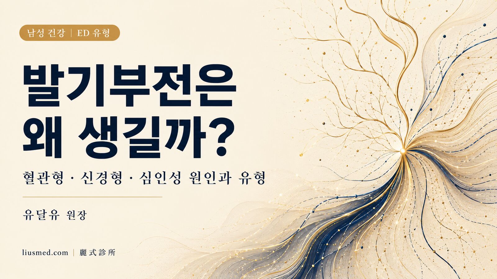 발기부전은 왜 생길까? 혈관형·신경형·심인성 원인과 유형 한눈에 정리