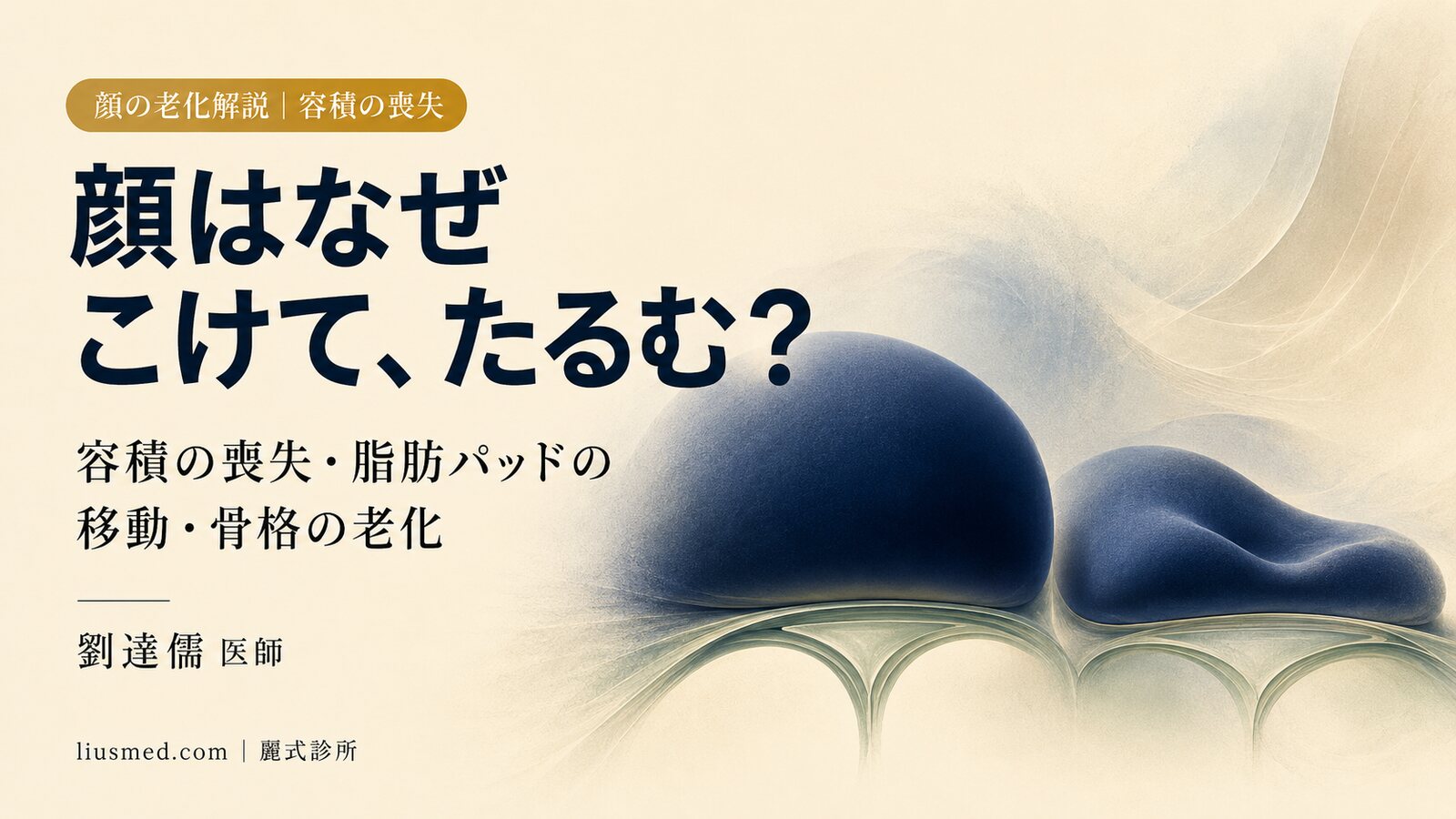 顔はなぜ「こけて、たるむ」のか?容積の喪失・脂肪パッドの移動・骨格の老化の真実
