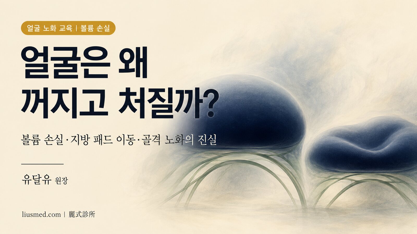 얼굴은 왜 '꺼지고 처질까'? 볼륨 손실·지방 패드 이동·골격 노화의 진실