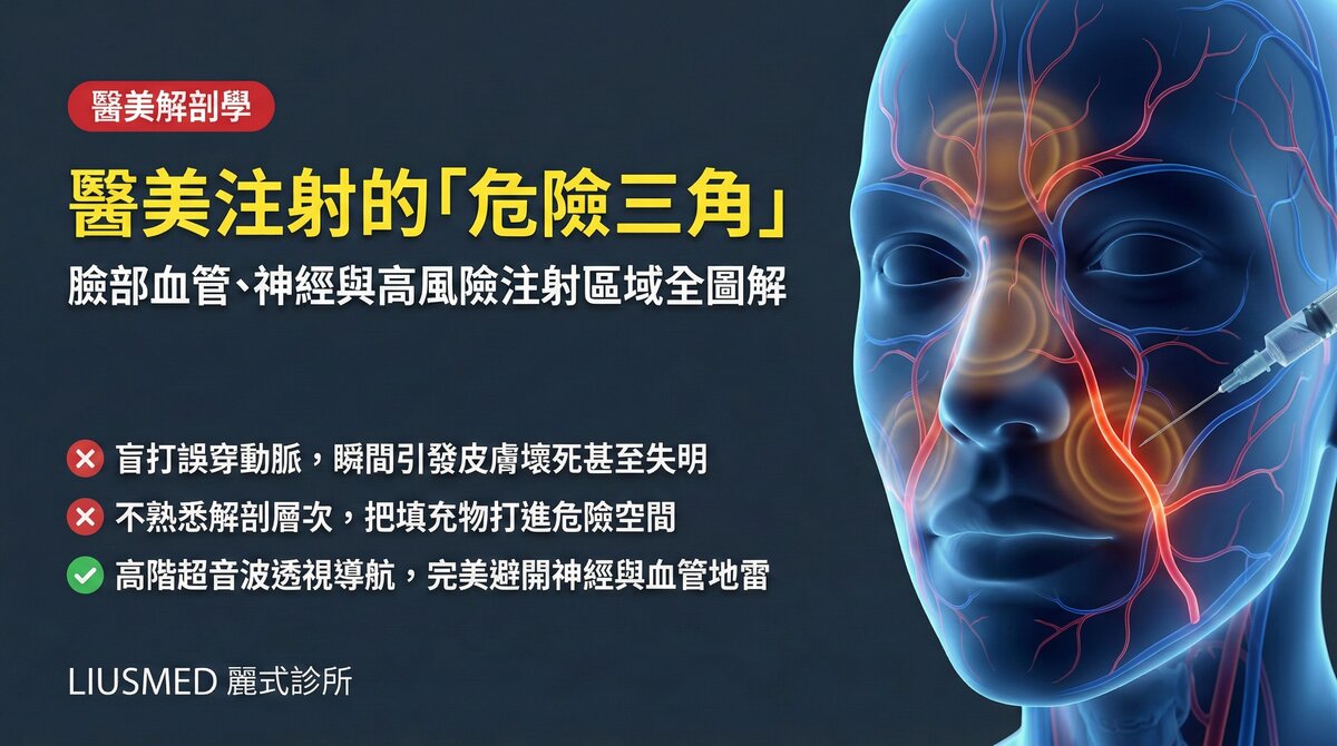 臉部解剖學:血管、神經與注射危險區域完整圖解