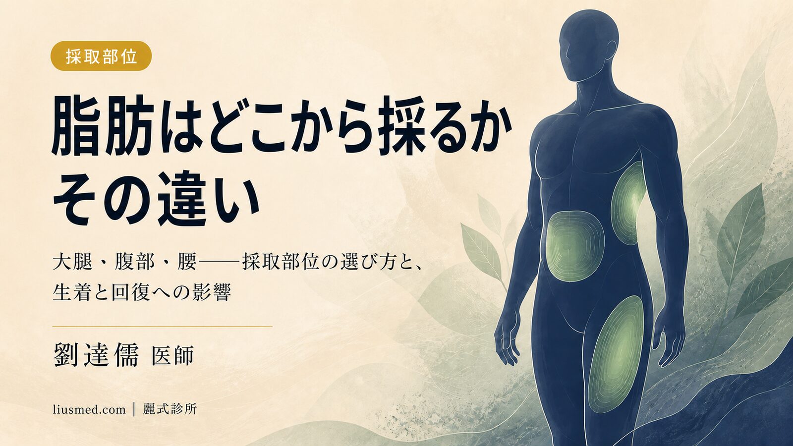 顔への脂肪補充はどこから採取する?大腿・腹部・脇腹の採取部位の特徴と選択