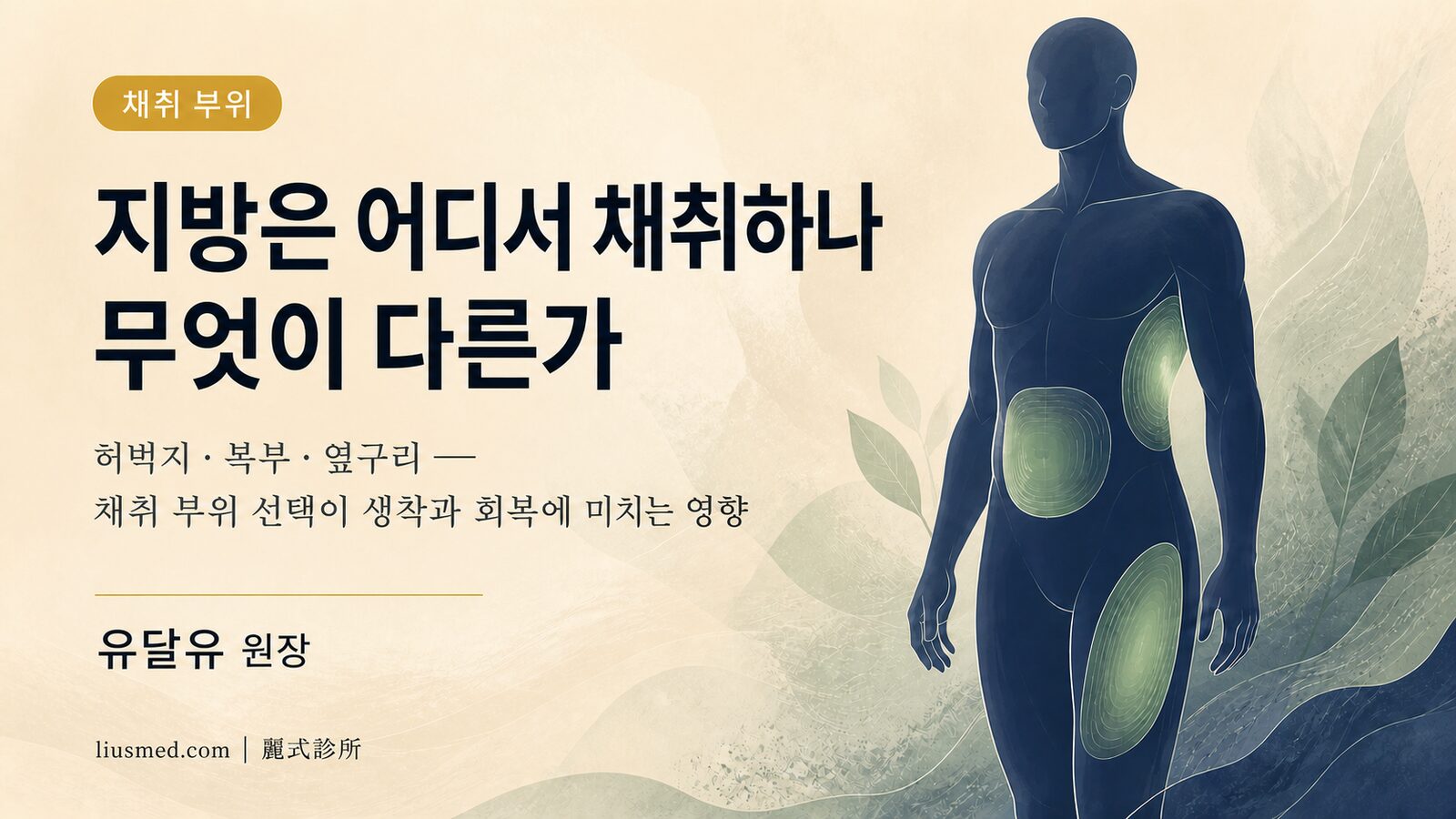 얼굴 지방이식 지방은 어디서 채취하나요? 허벅지·복부·옆구리 채취 부위 특성과 선택