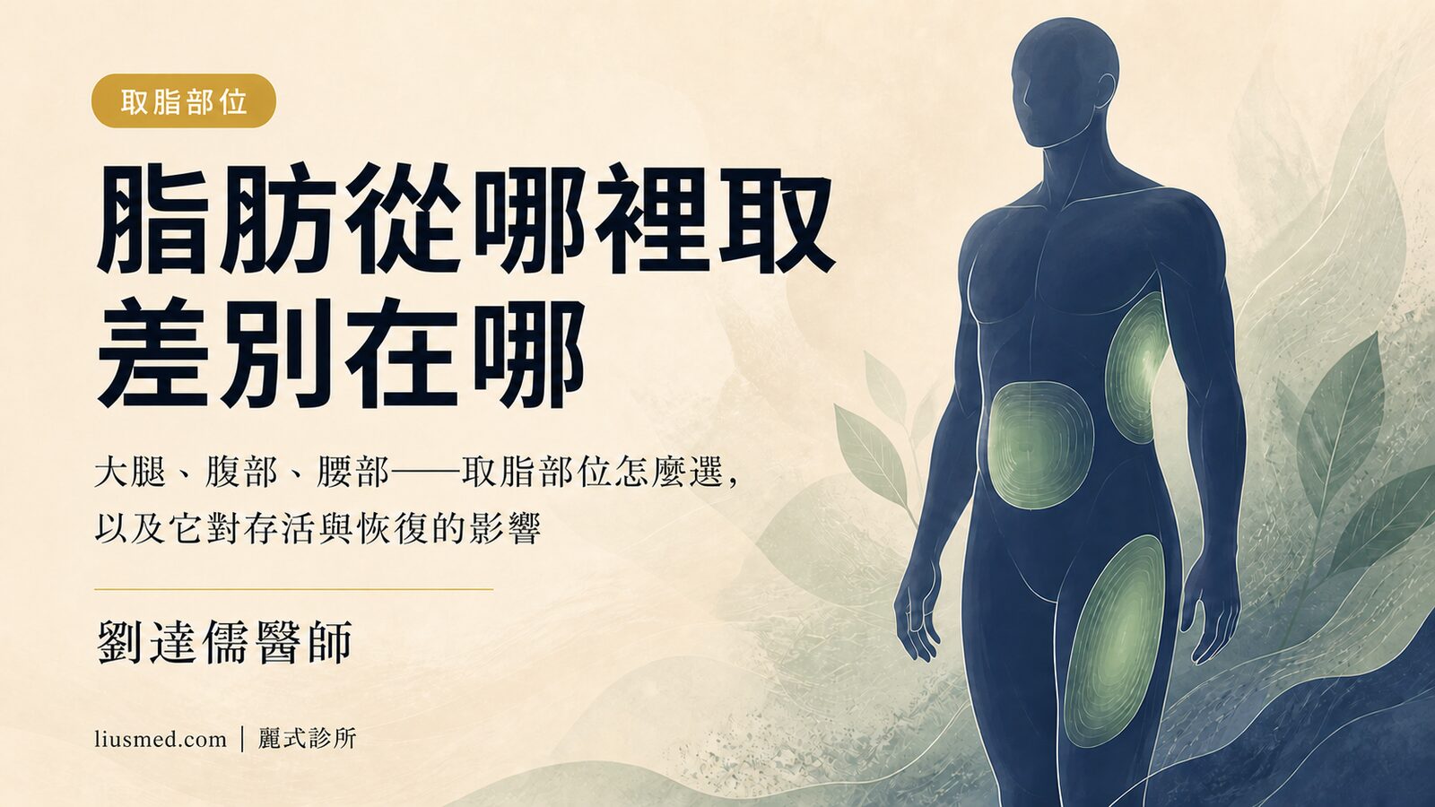 補臉的脂肪從哪裡取？大腿、腹部、腰部取脂部位的差異與選擇