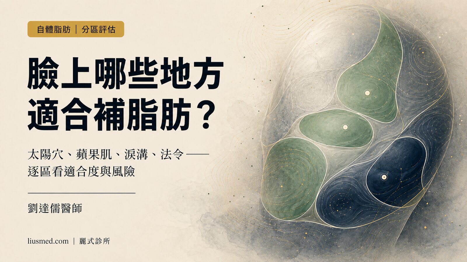 自體脂肪能補臉上哪些地方?太陽穴、蘋果肌、淚溝、法令的「分區適合度」完整評估