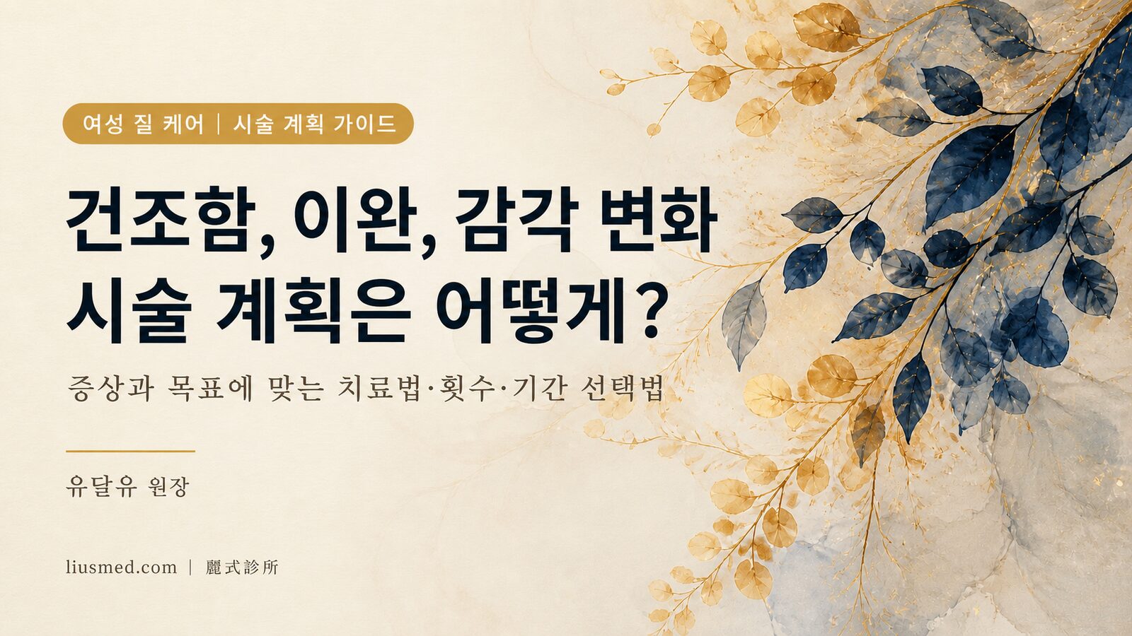 여성 질 케어 시술 계획 세우기: 증상과 목표에 맞는 치료법·횟수·기간 선택 가이드