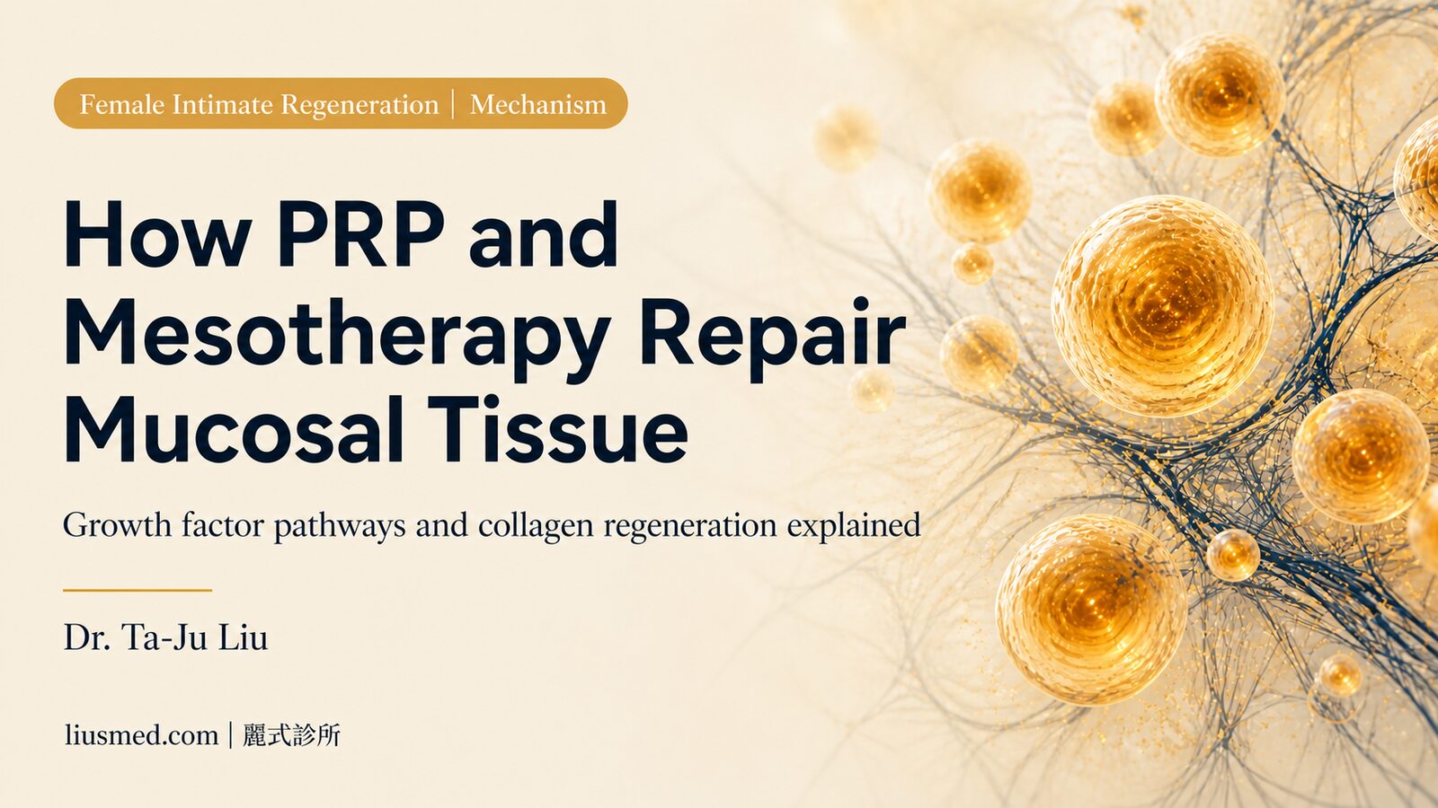 Female Intimate PRP and Mesotherapy: How They Work