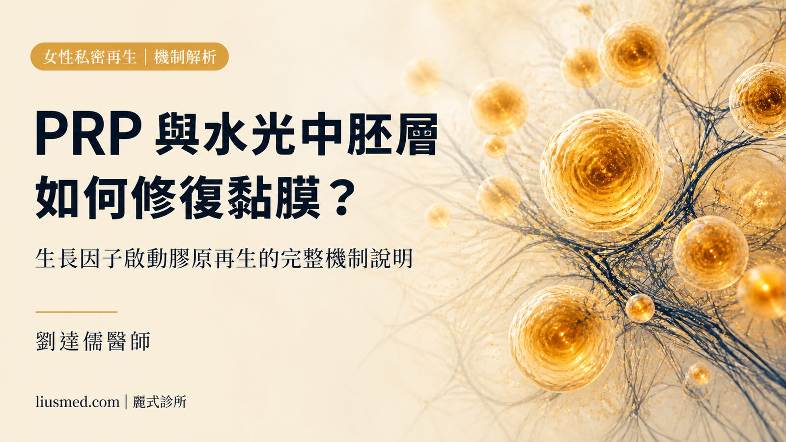 女性私密 PRP 與水光中胚層機制解析：膠原再生與黏膜修復如何啟動