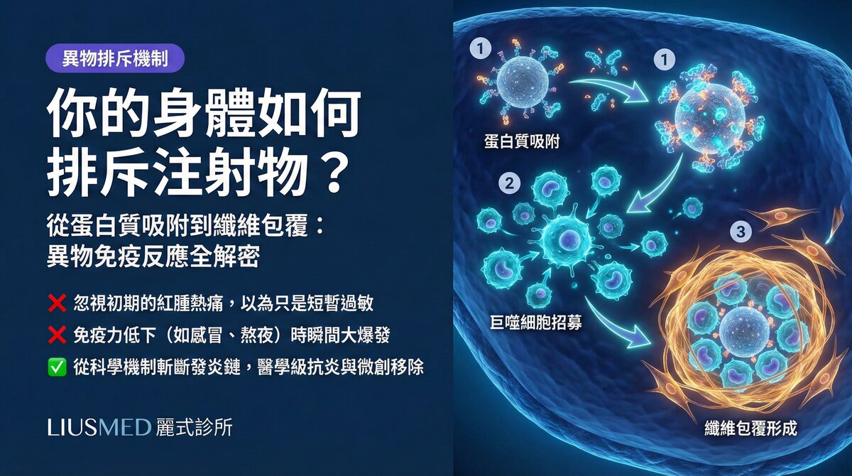 你的身體vs注射物:異物免疫反應的完整過程