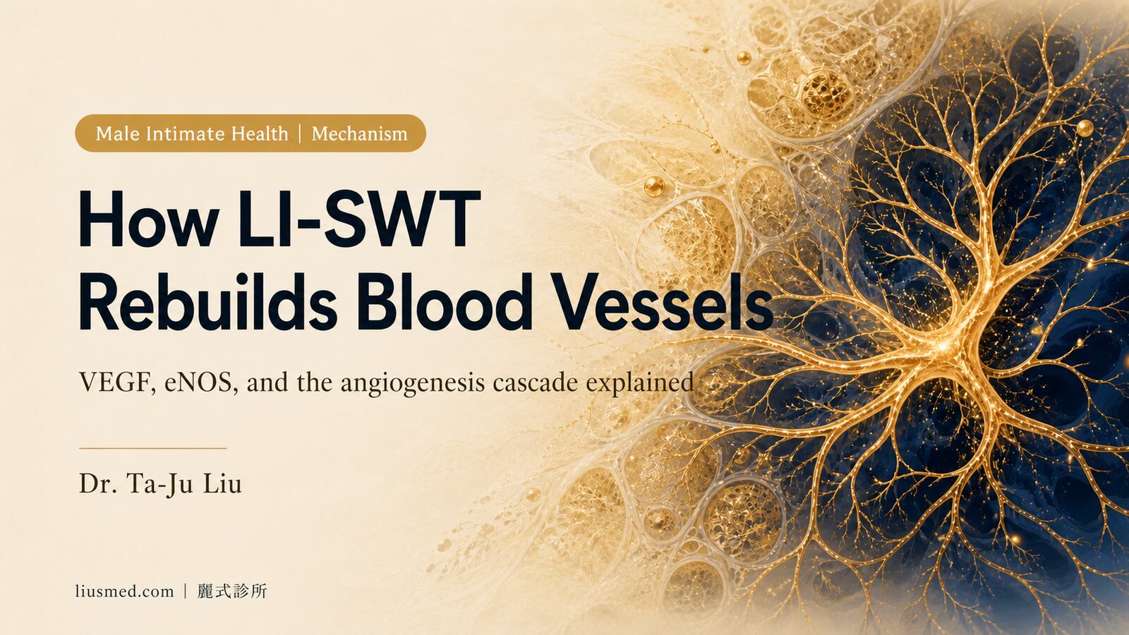 How LI-SWT Shockwave Therapy Works: Angiogenesis Explained