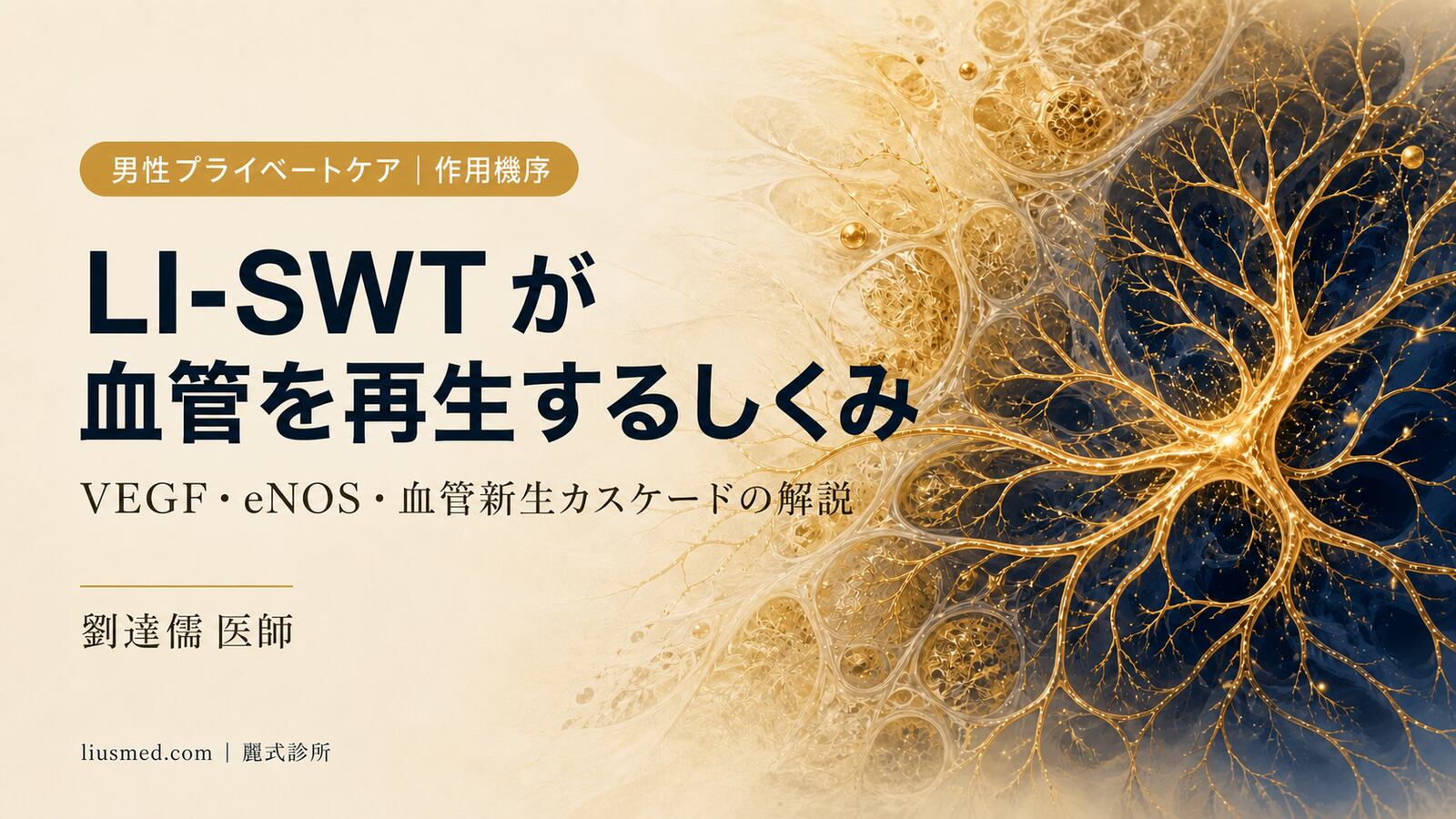 低強度体外衝撃波療法(LI-SWT)の作用機序:血管新生と組織再生のしくみ