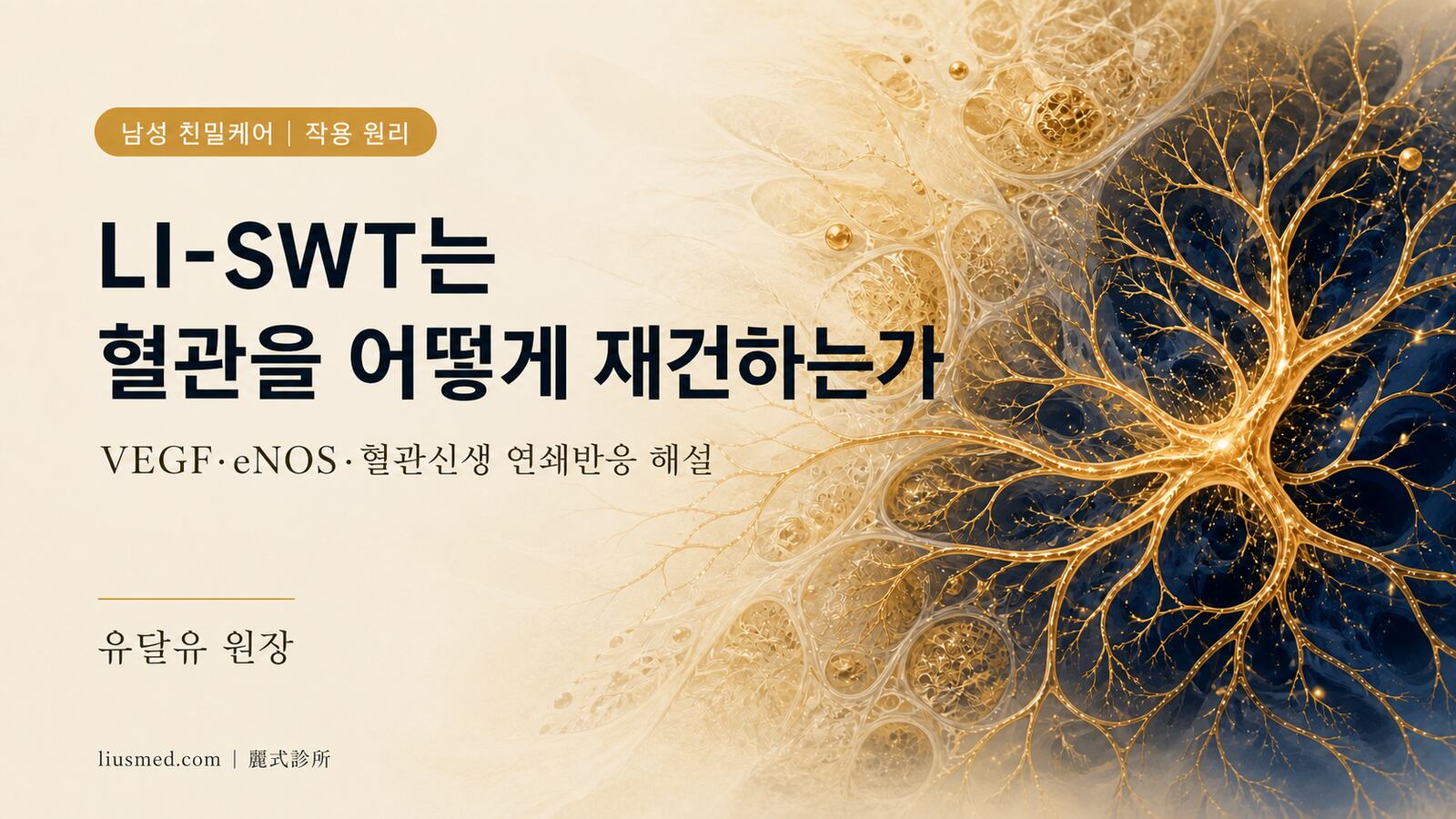 저강도 체외충격파치료(LI-SWT)의 작용 원리:혈관신생과 조직 재생이 시작되는 과정