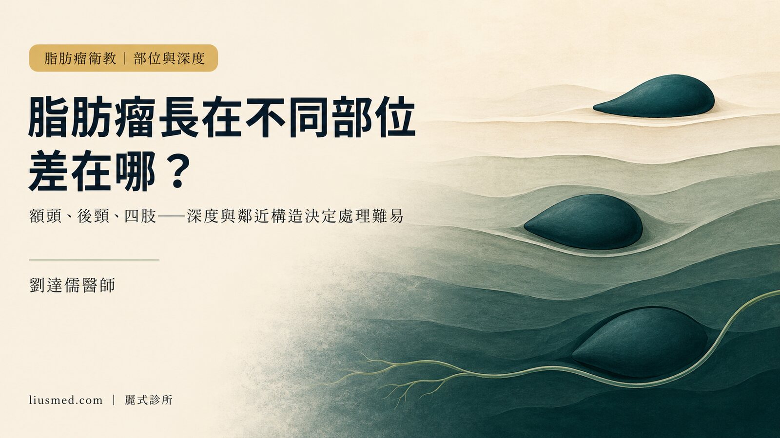脂肪瘤長在不同部位差在哪?額頭、後頸、背部、肩膀、四肢的深度與處理考量