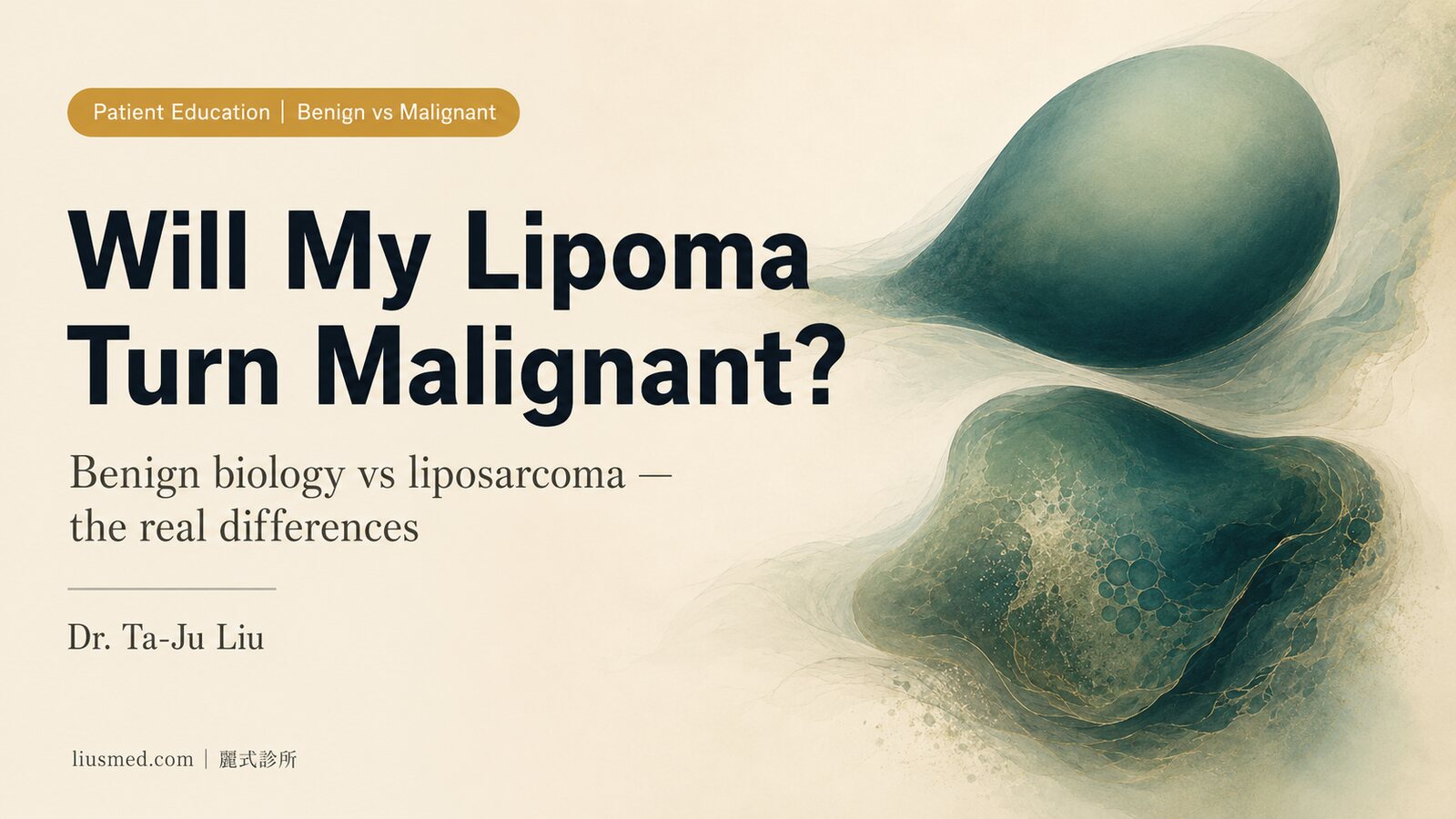 Is a Lipoma Dangerous? Benign Nature, Warning Signs, and the Truth About Liposarcoma