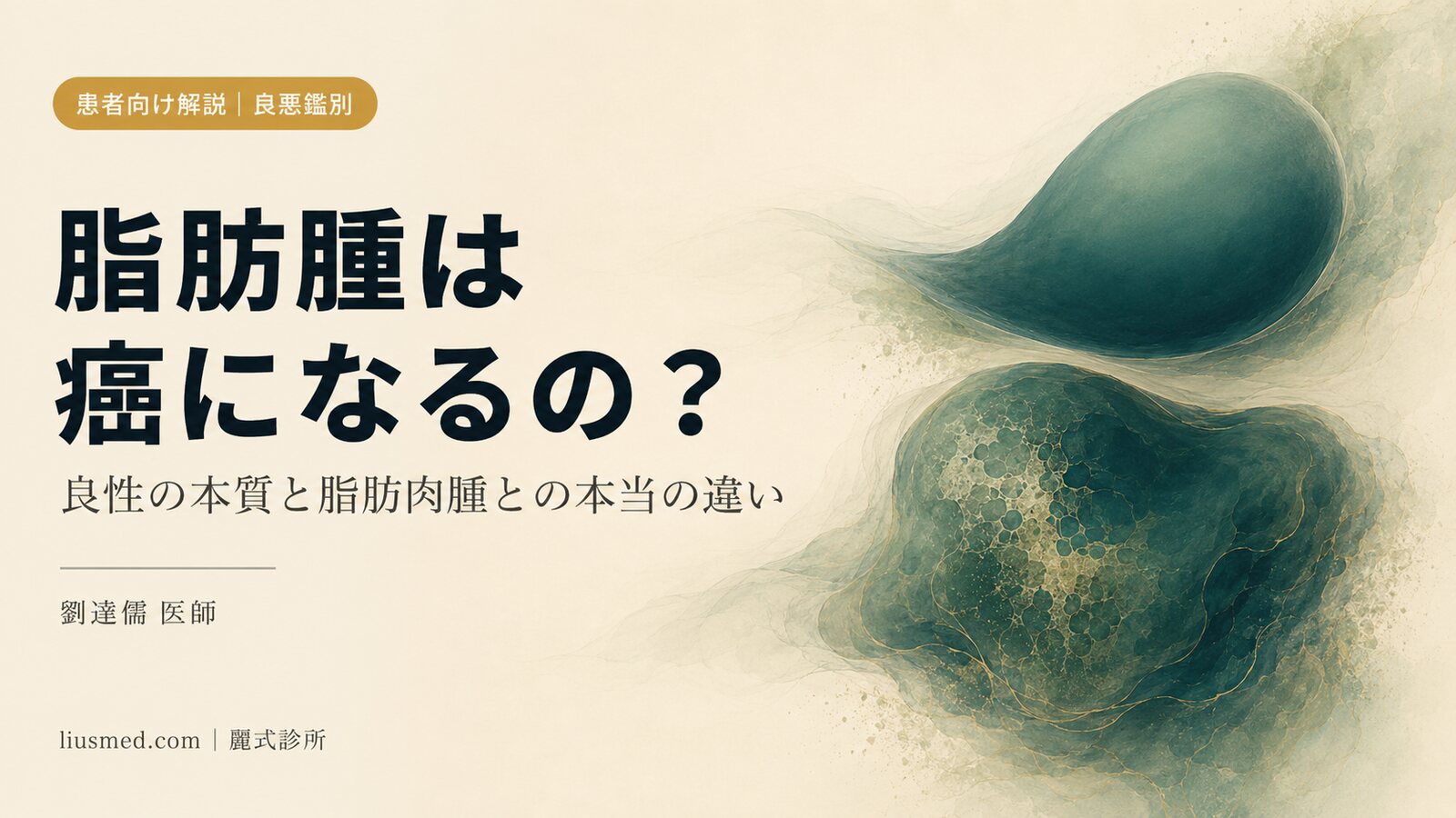 脂肪腫は癌になるの？良性の本質・悪性警戒サインと脂肪肉腫との本当の違い