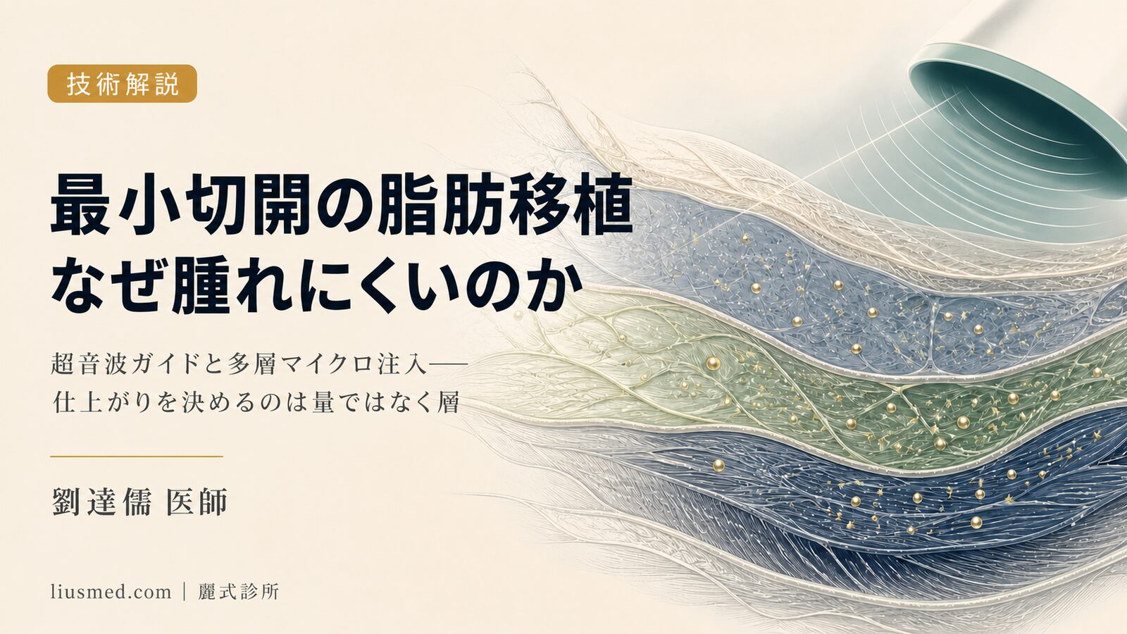 最小切開脂肪移植はなぜ腫れにくく自然な仕上がりになるのか?超音波ガイド採取と多層次注入技術の解説