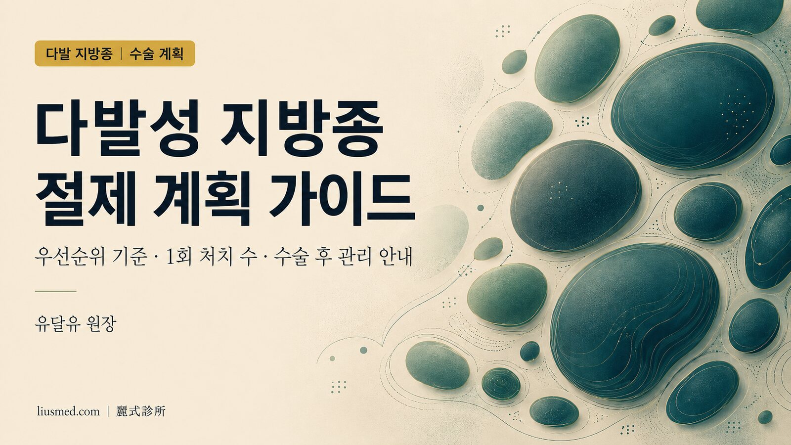 다발성 지방종 절제 계획: 우선순위 기준・1회 치료 가능 개수・수술 후 관리 완전 가이드