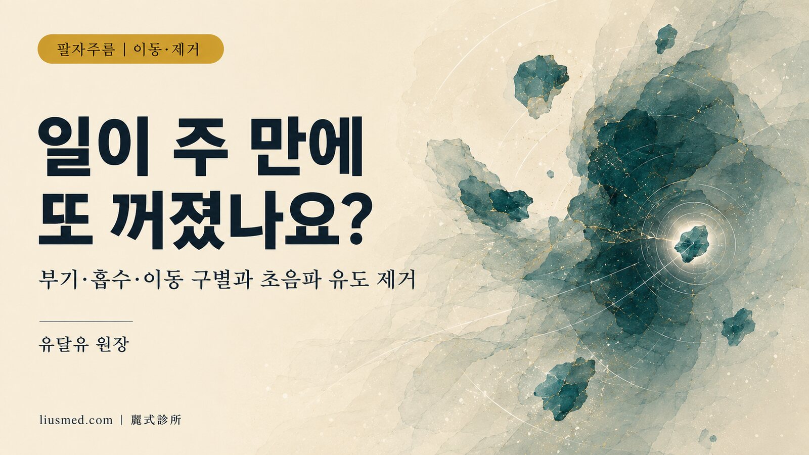 팔자주름이 일이 주 만에 다시 꺼짐: 이동과 초음파 유도 제거