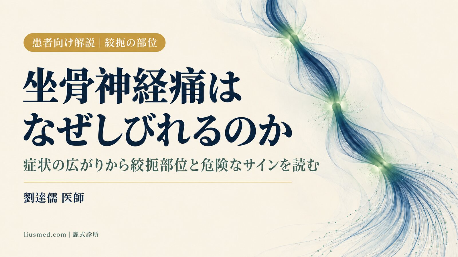 坐骨神経痛はなぜ「しびれる・電気が走る」のか:神経絞扼の部位の読み方と危険なサイン