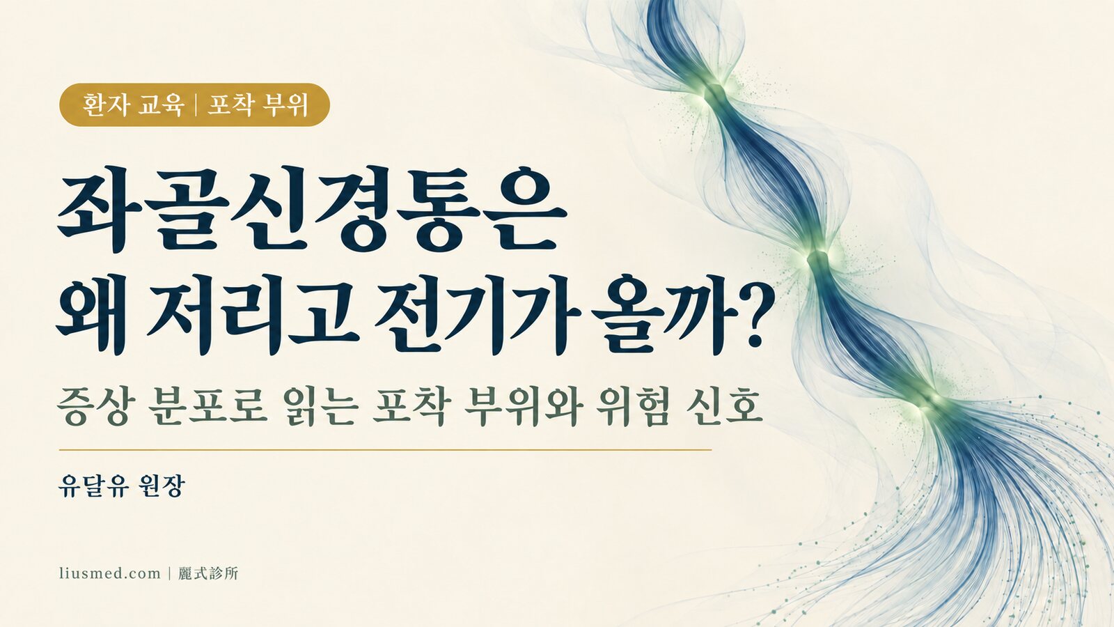 좌골신경통은 왜 저리고 전기가 오나요? 신경 포착 부위 읽는 법과 위험 신호