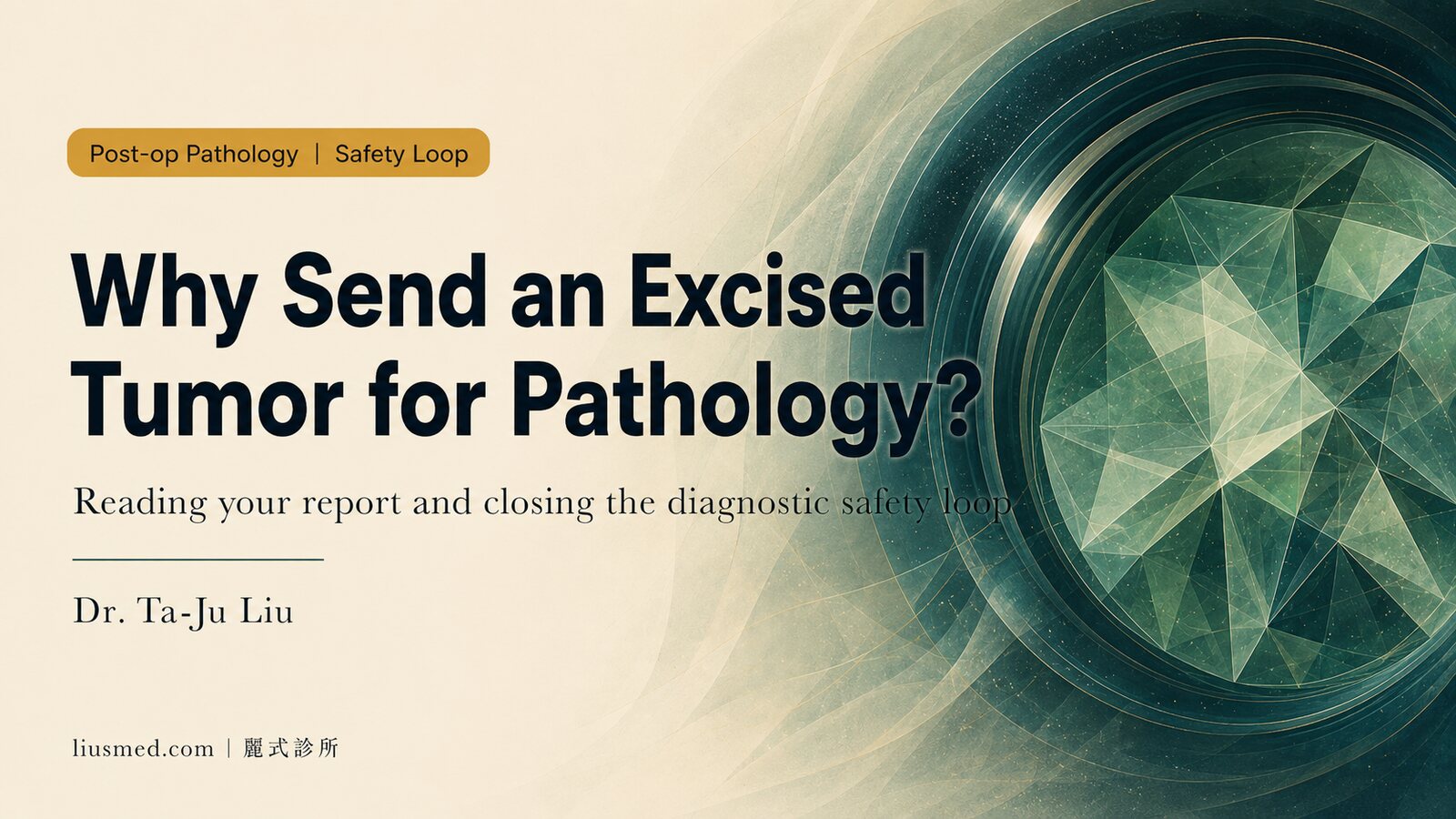 Why Should Excised Tumors Be Sent for Pathology? Reading Your Report and Closing the Safety Loop
