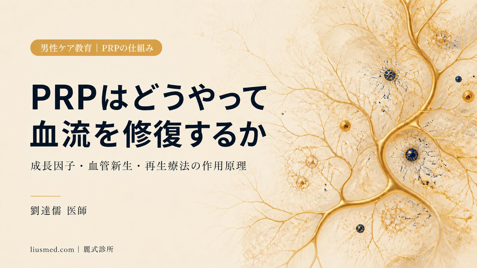 男性プライベートゾーン治療におけるPRPの作用原理:成長因子はどのように血流を修復するか