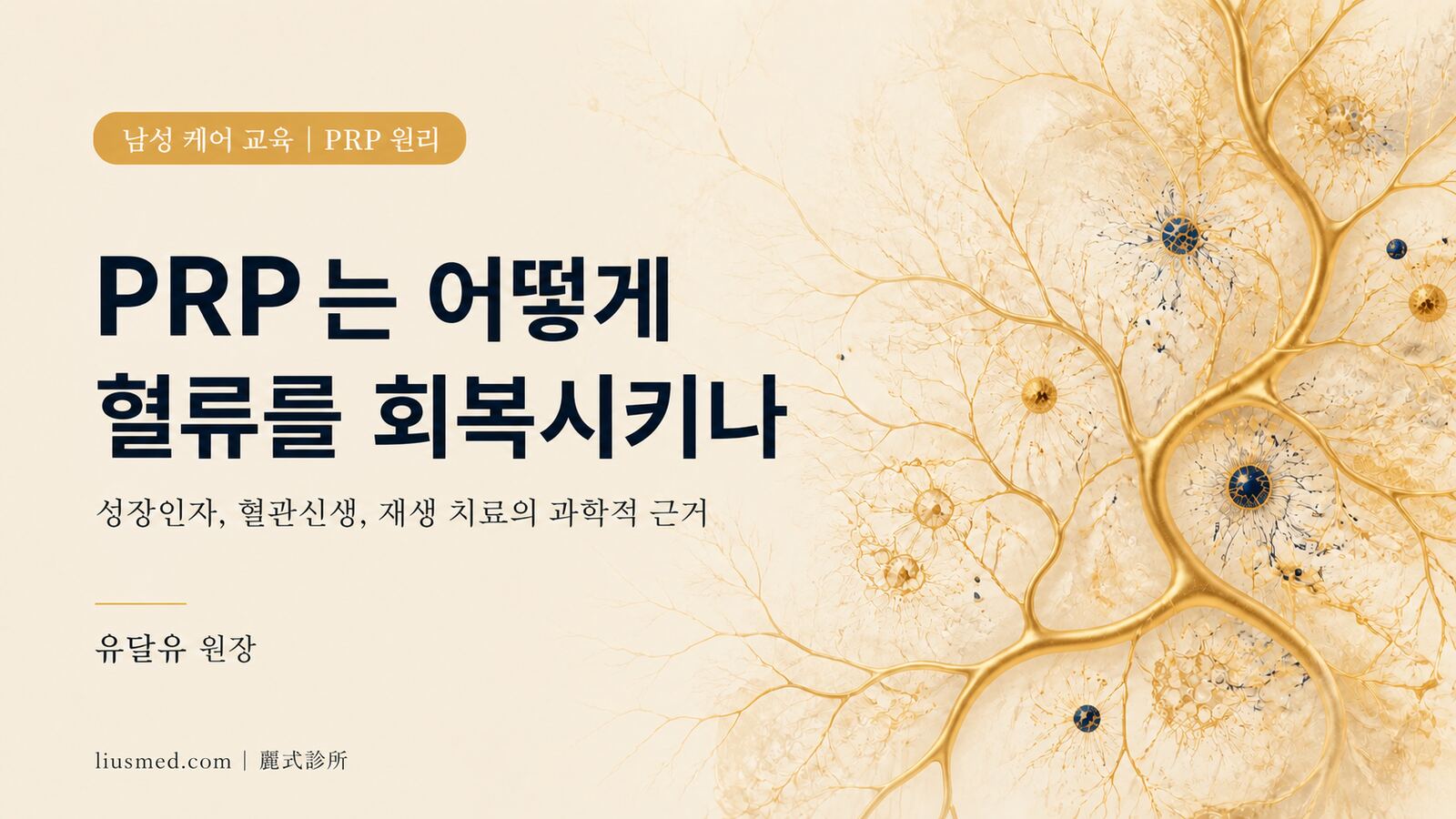 남성 이너 케어에서 PRP의 작용 원리: 성장인자는 어떻게 혈류를 회복시키는가