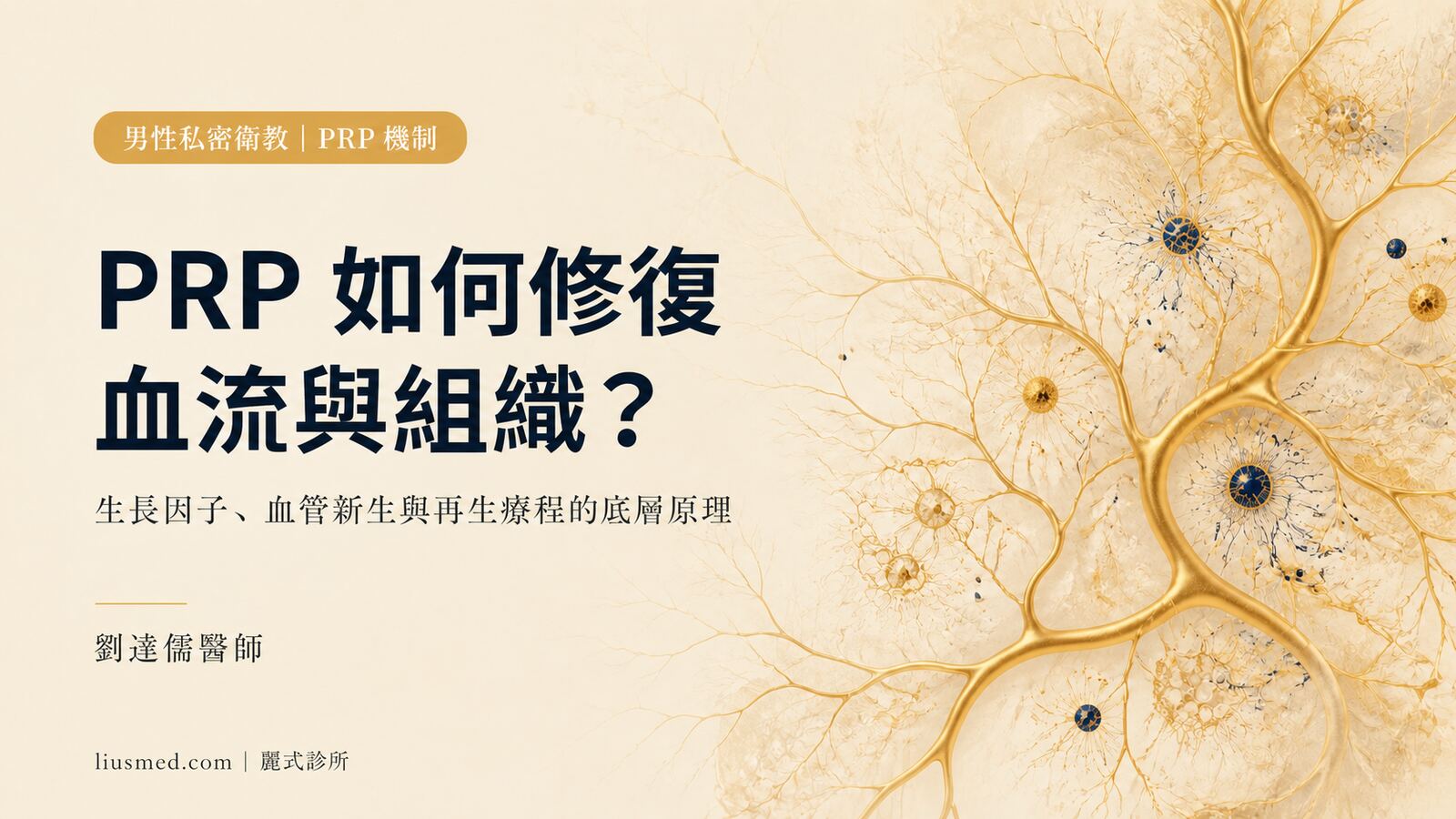 PRP 在男性私密治療的作用原理：生長因子如何修復血流？