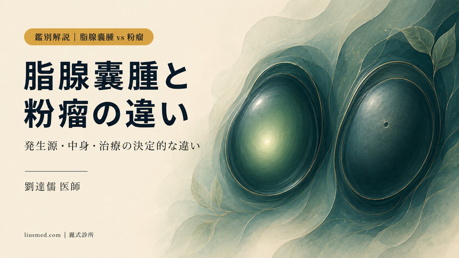 脂腺嚢腫と粉瘤はどう見分ける? 発生源・中身・治療の決定的な違い
