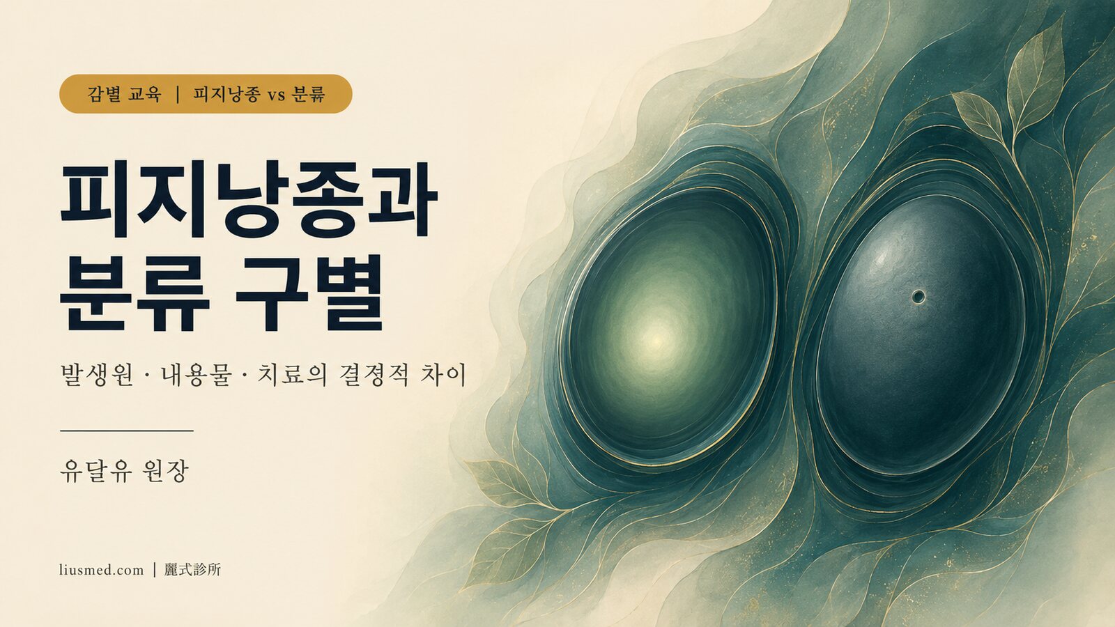 피지낭종과 분류는 어떻게 구별할까? 발생원·내용물·치료의 결정적 차이
