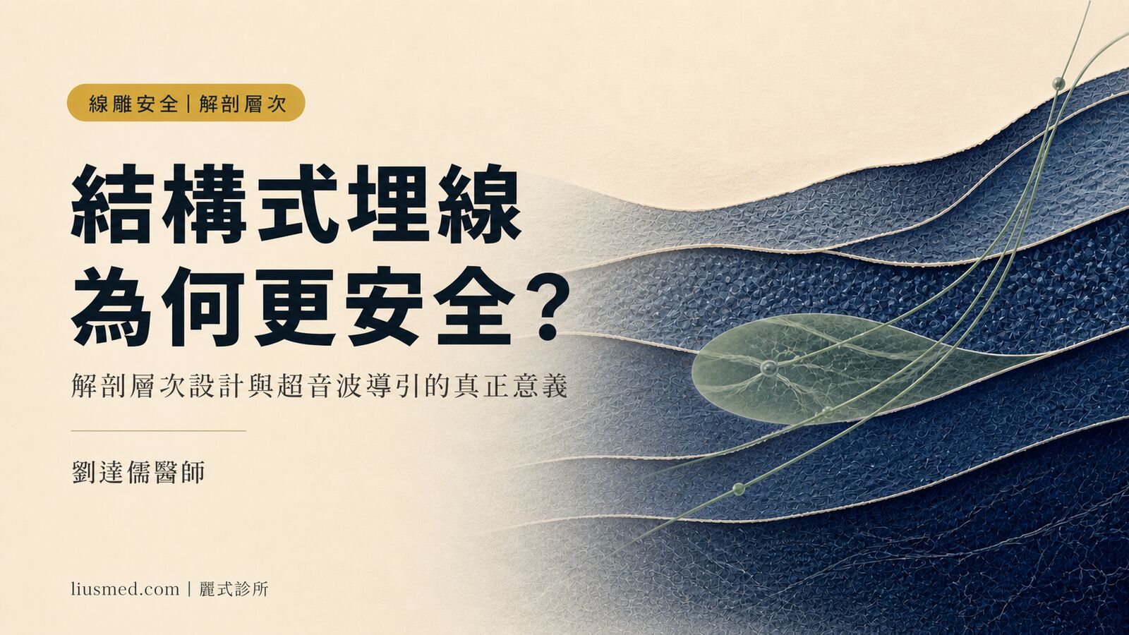 結構式埋線與栓塞風險：解剖層次設計為何讓線雕更安全