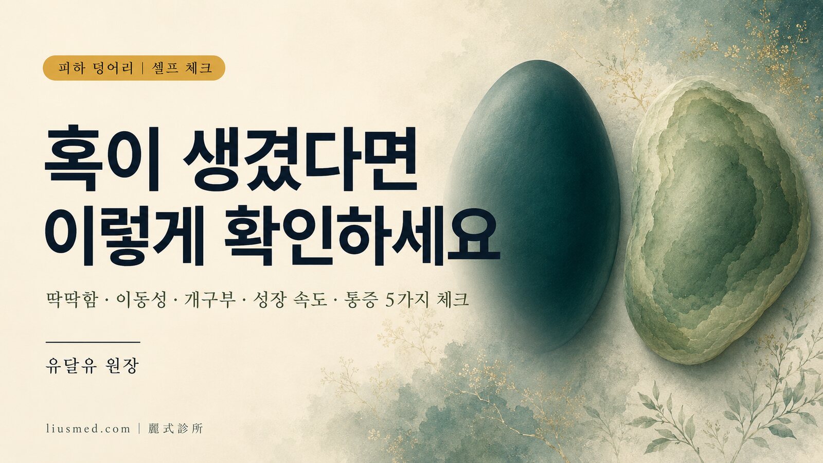 피하 덩어리 셀프 체크: 딱딱함·이동성·통증이 의미하는 것
