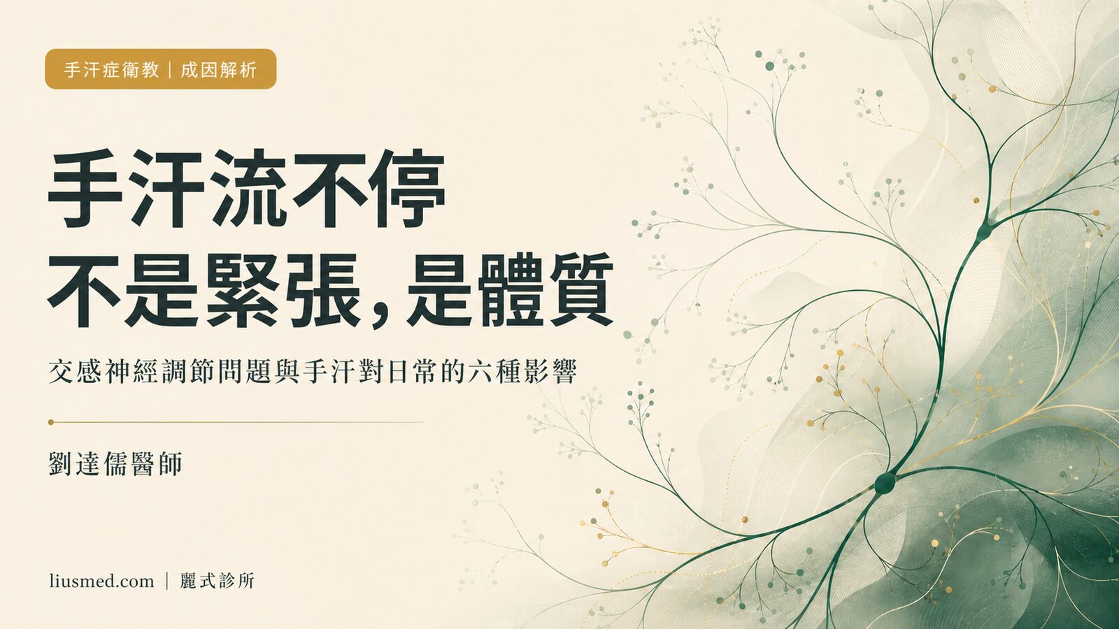 手汗症成因完整解析:不是緊張,是體質性交感神經調節問題