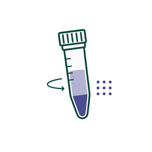 Dual-Stage Processing