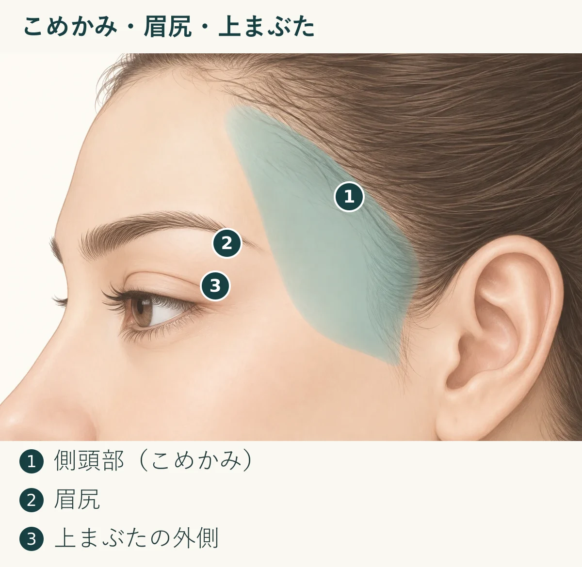 こめかみ・眉尻・上まぶた（1. 側頭部（こめかみ）、2. 眉尻、3. 上まぶたの外側）